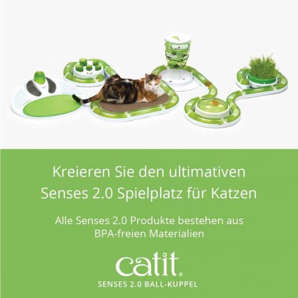 CATIT Play-n-Scratch mit Grasgarten
